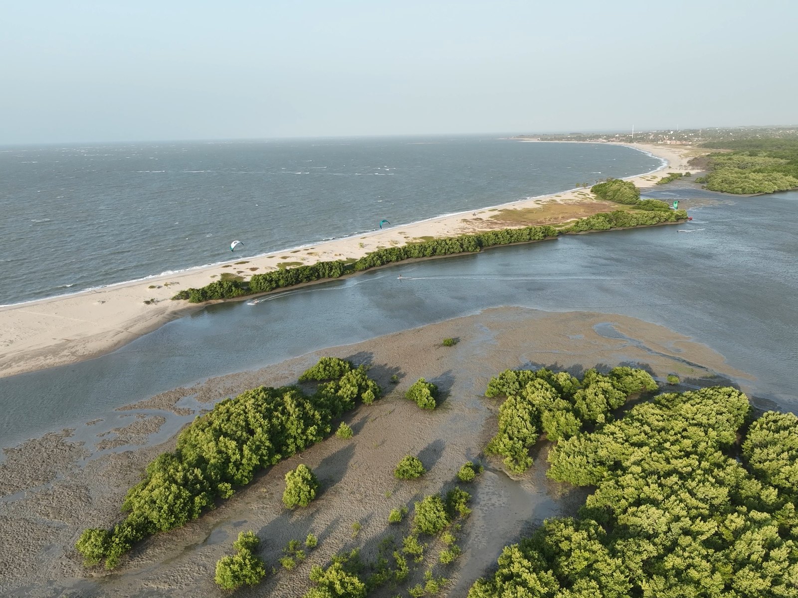 El manglar y la laguna de Barra Grande vistos desde el dron