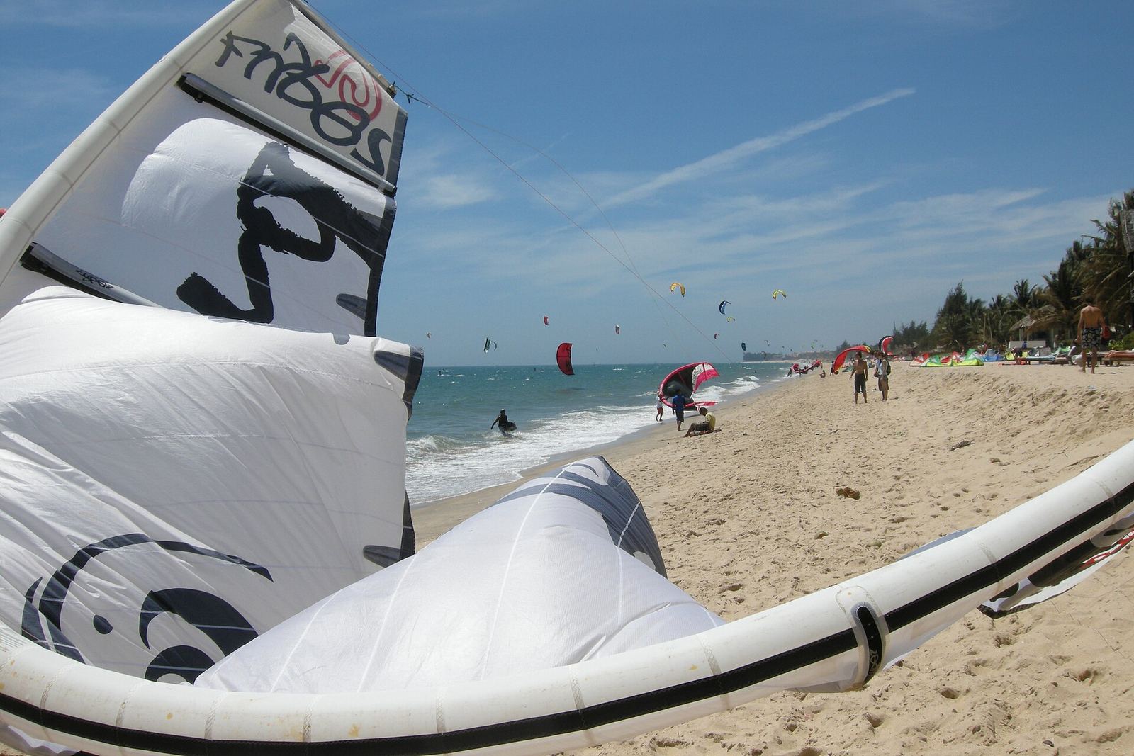 Cometa inflada descansando en la playa junto al agua