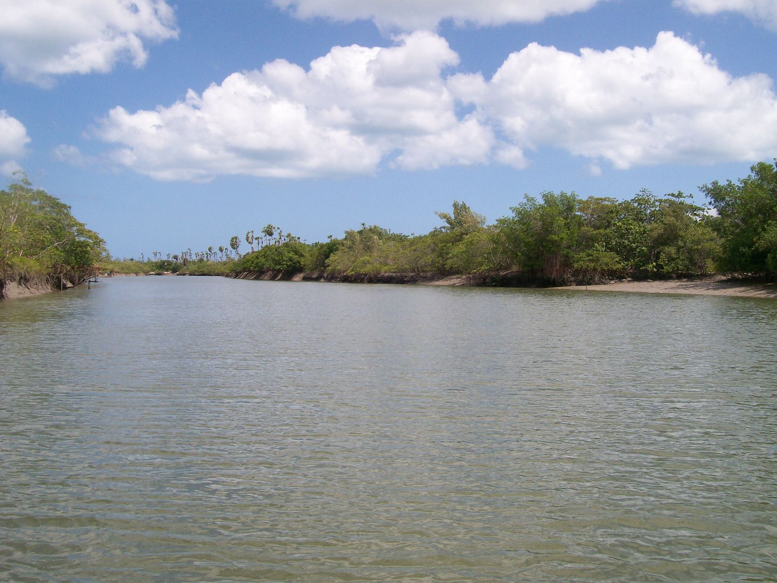 El río Guriú entre manglares, cerca de Camocim
