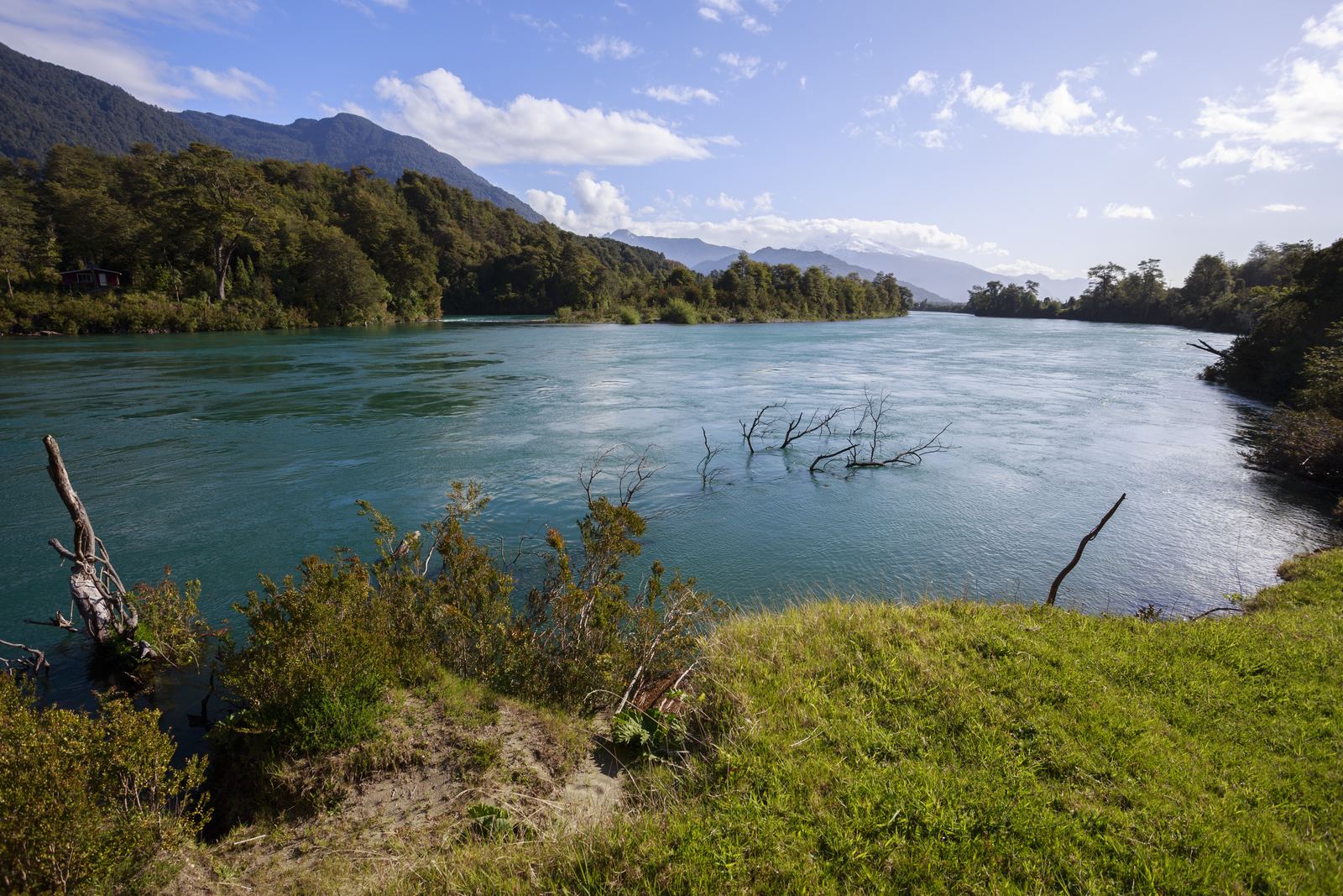 El río Puelo en el sector Las Gualas, con su agua turquesa y el bosque nativo en las orillas