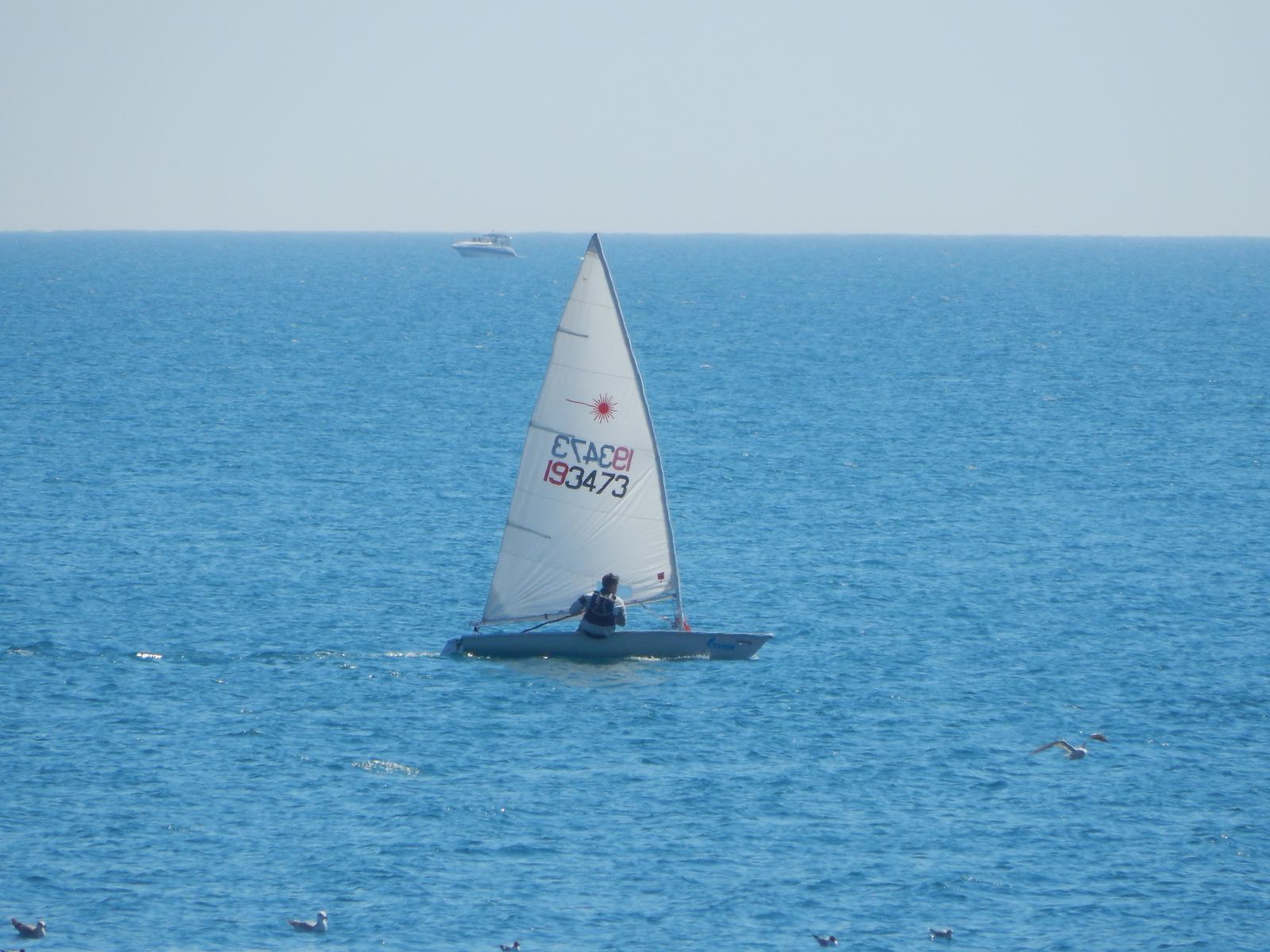 Flota de dinghies Laser navegando en regata